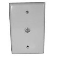 WALLPLATE,W/F-81,MID-SIZE,