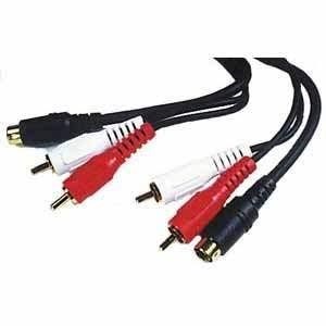 CABLE,2-RCA M&4PIN MINI D/2