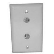 WALLPLATE,VIDEO,W/2-F81,ALM