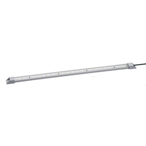 LIGHT,LED,24VDC,WARM WHT