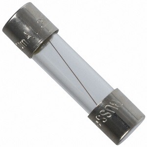 S506 10A BUSS FUSE